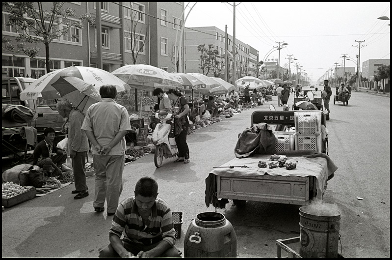 ©copyright Marco Giardini